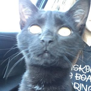 Meet your Posher, Hailey